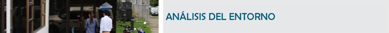 T&iacute;tulo: An&aacute;lisis del Entorno.