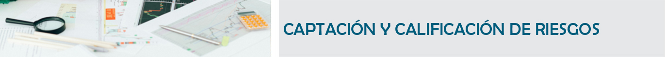 T&iacute;tulo: Captaci&oacute;n de Recursos y Calificaci&oacute;n del Riesgo.