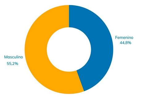 Gr&aacute;fico circular. Masculino 55,2%. Femenino 44,8%.