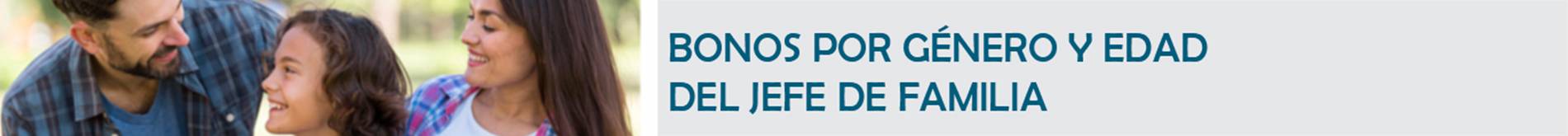 T&iacute;tulo: Bonos por g&eacute;nero, edad del jefe de familia y parejas del mismo sexo.