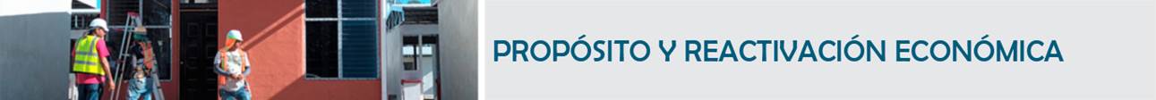 T&iacute;tulo: Bonos por Prop&oacute;sito y Reactivaci&oacute;n Econ&oacute;mica.