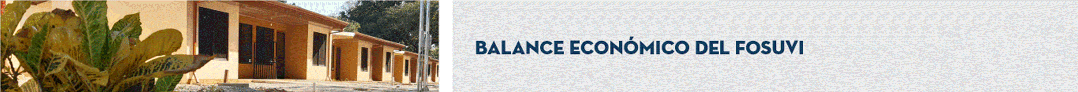 T&iacute;tulo: Balance econ&oacute;mico del FOSUVI