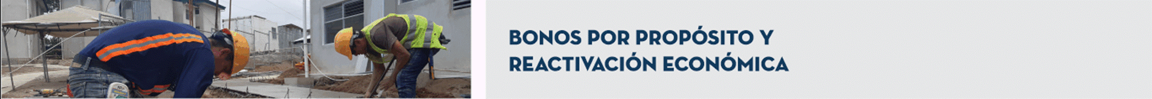 T&iacute;tulo: Bonos por Prop&oacute;sito y Reactivaci&oacute;n Econ&oacute;mica.