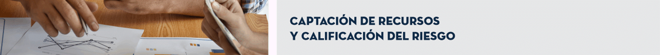 T&iacute;tulo: Captaci&oacute;n de Recursos y Calificaci&oacute;n del Riesgo 