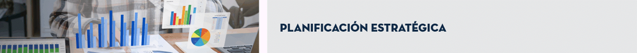 T&iacute;tulo: Planificaci&oacute;n Estrat&eacute;gica.