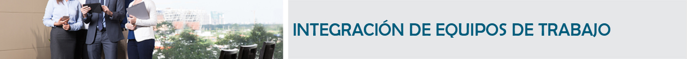 Titulo: Integración de los Equipos de Trabajo.